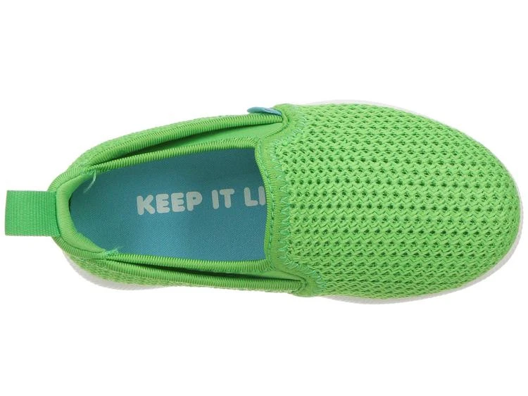 商品Native|Cruz (Toddler/Little Kid),价格¥269,第2张图片详细描述