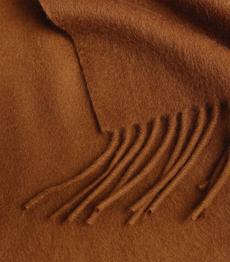 商品Max Mara|Cashmere Fringed Scarf,价格¥6013,第4张图片详细描述