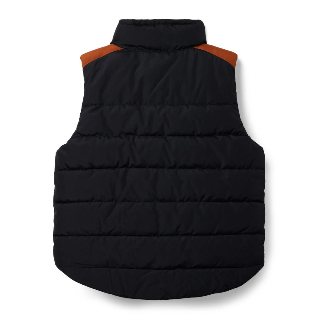 商品Janie and Jack|Puffer Vest (Toddler/Little Kid/Big Kid),价格¥493,第2张图片详细描述