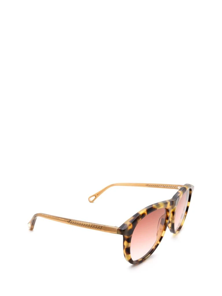 商品Chloé|CHLOÉ Sunglasses,价格¥1656,第2张图片详细描述