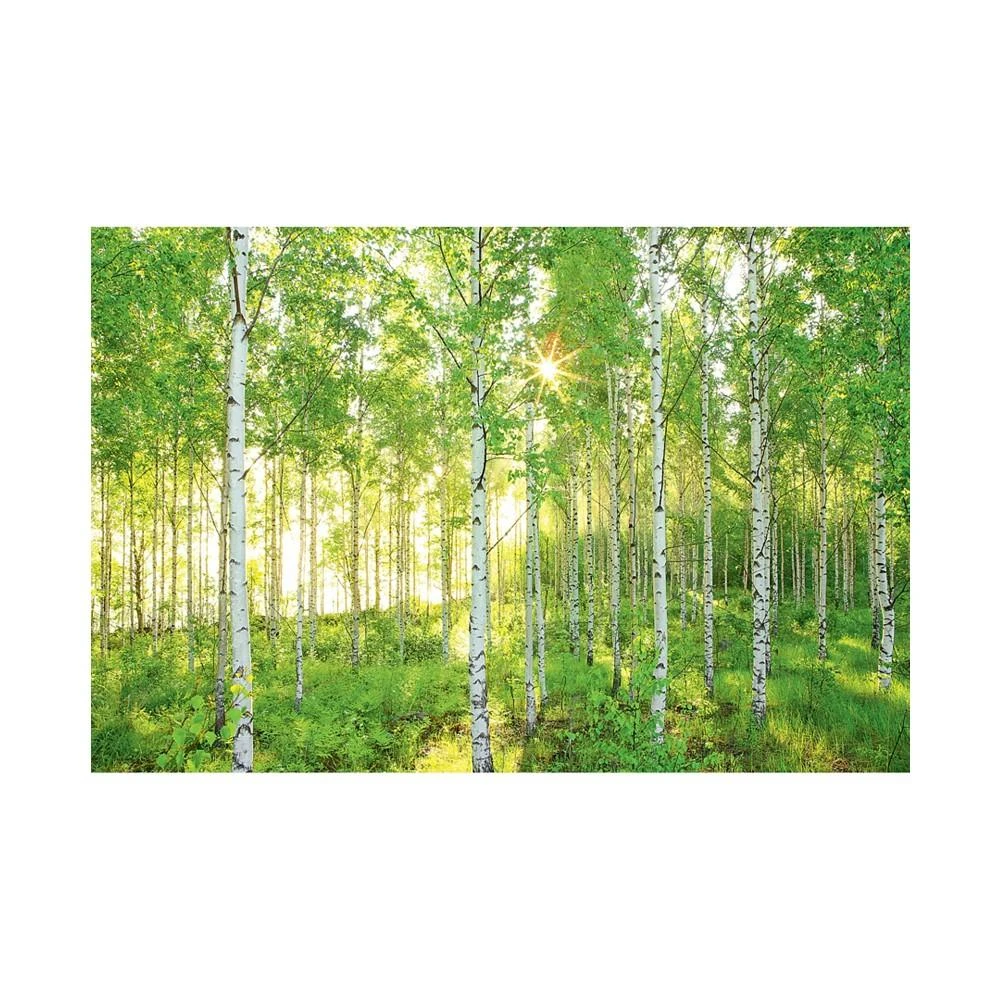 商品Brewster Home Fashions|Sunday Wall Mural,价格¥2188,第2张图片详细描述