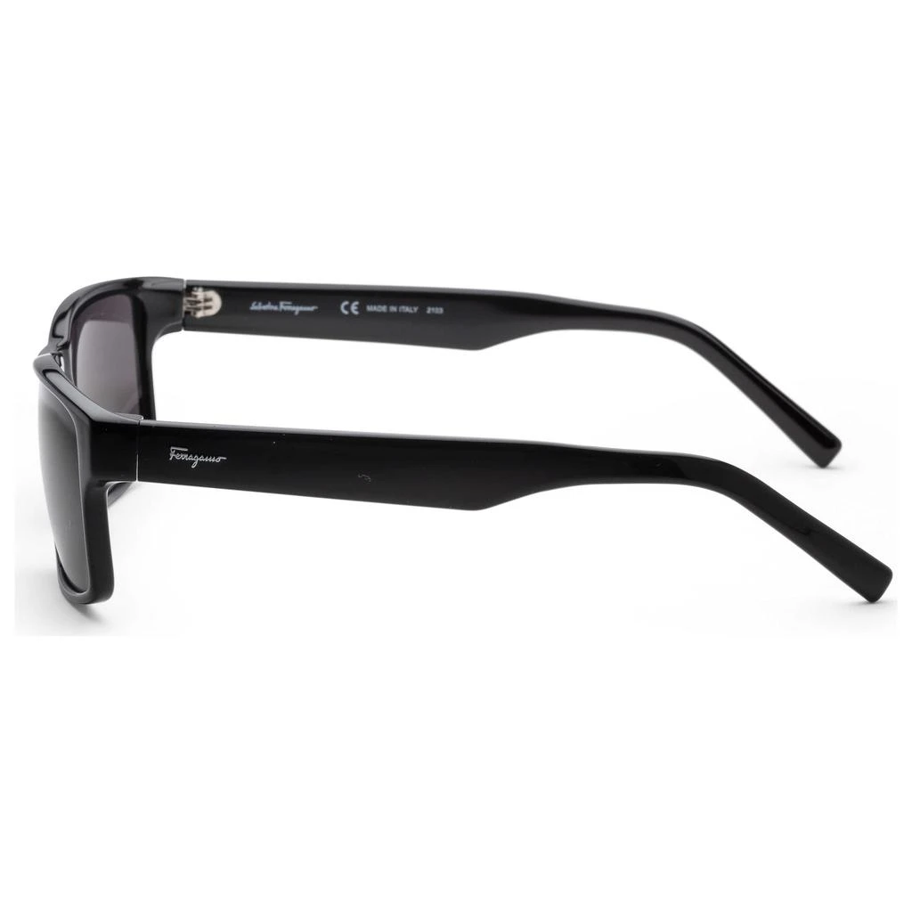 商品Salvatore Ferragamo|Ferragamo Women's Sunglasses SF960S-001,价格¥518,第3张图片详细描述