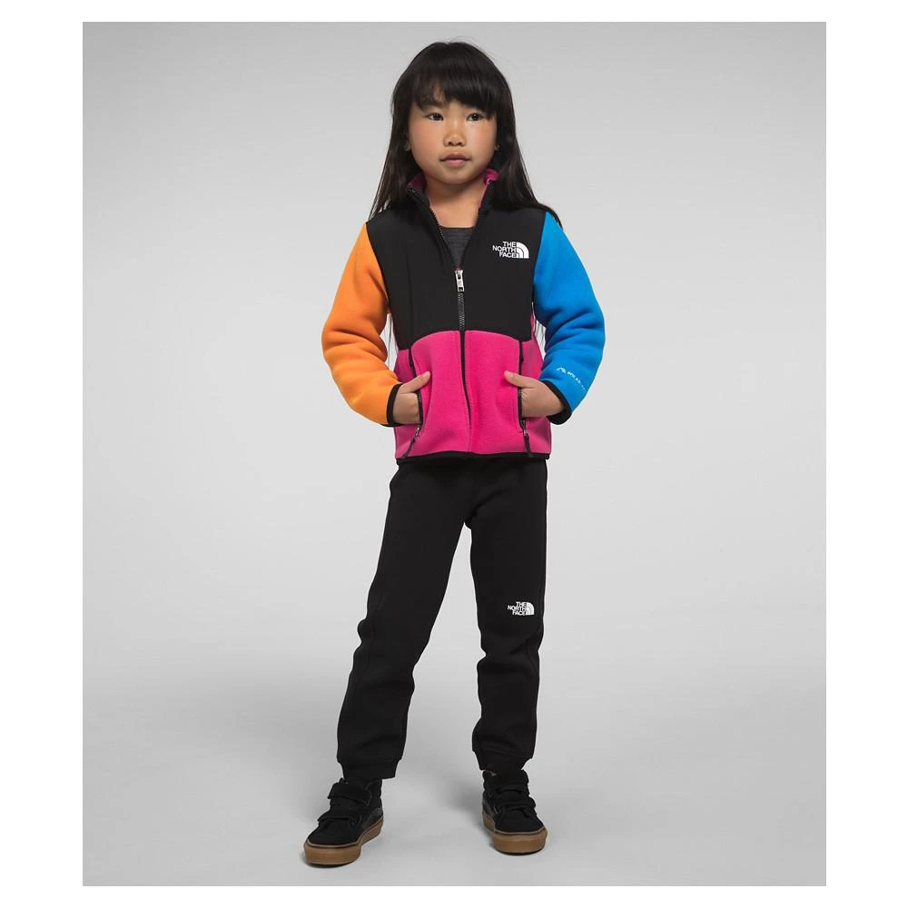 商品The North Face|Toddler and Little Unisex Denali Lightweight Jacket,价格¥897,第3张图片详细描述