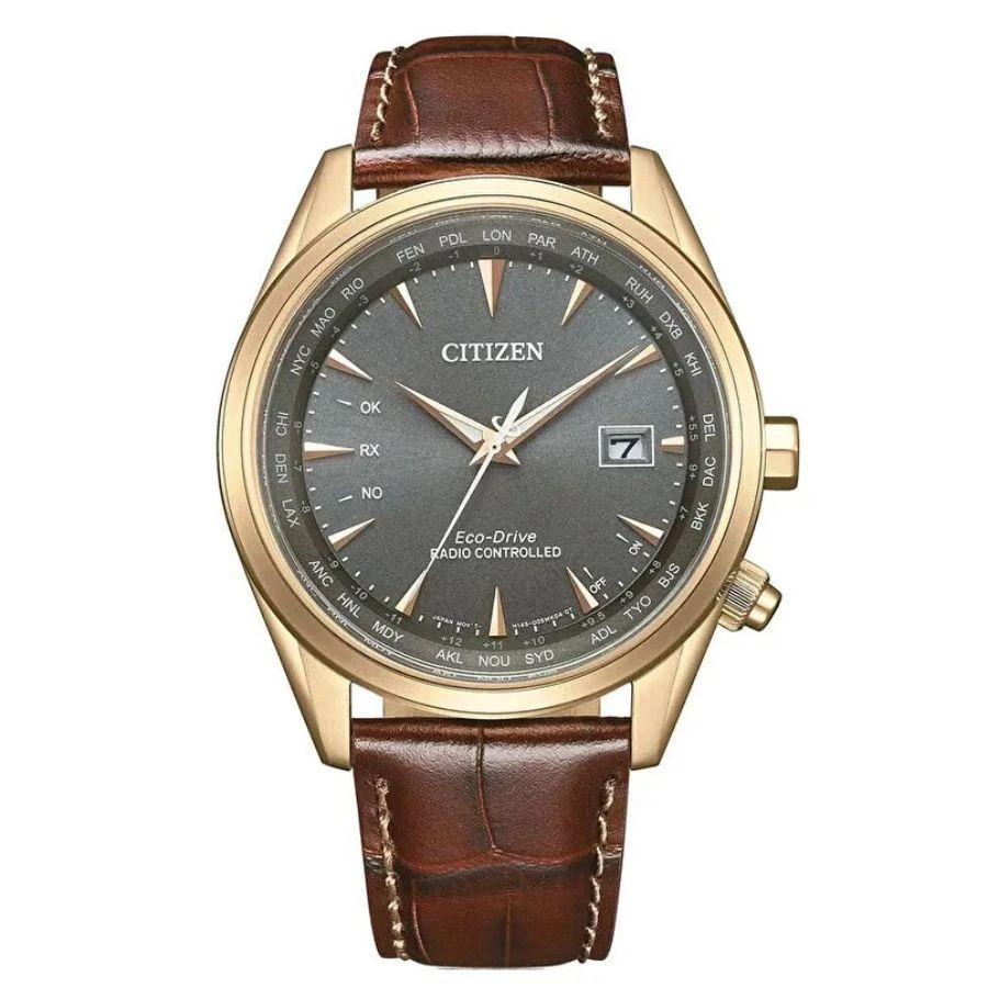商品Citizen|Perpetual World Time GMT Eco-Drive Grey Dial Men's Watch CB0273-11H,价格¥2503,第1张图片