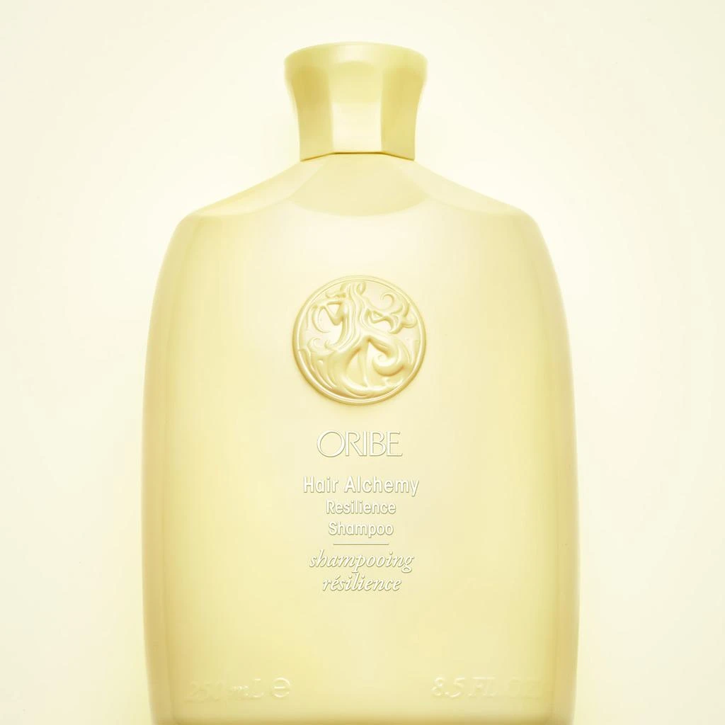 Oribe Hair Alchemy Resilience Shampoo 8.5 oz 商品