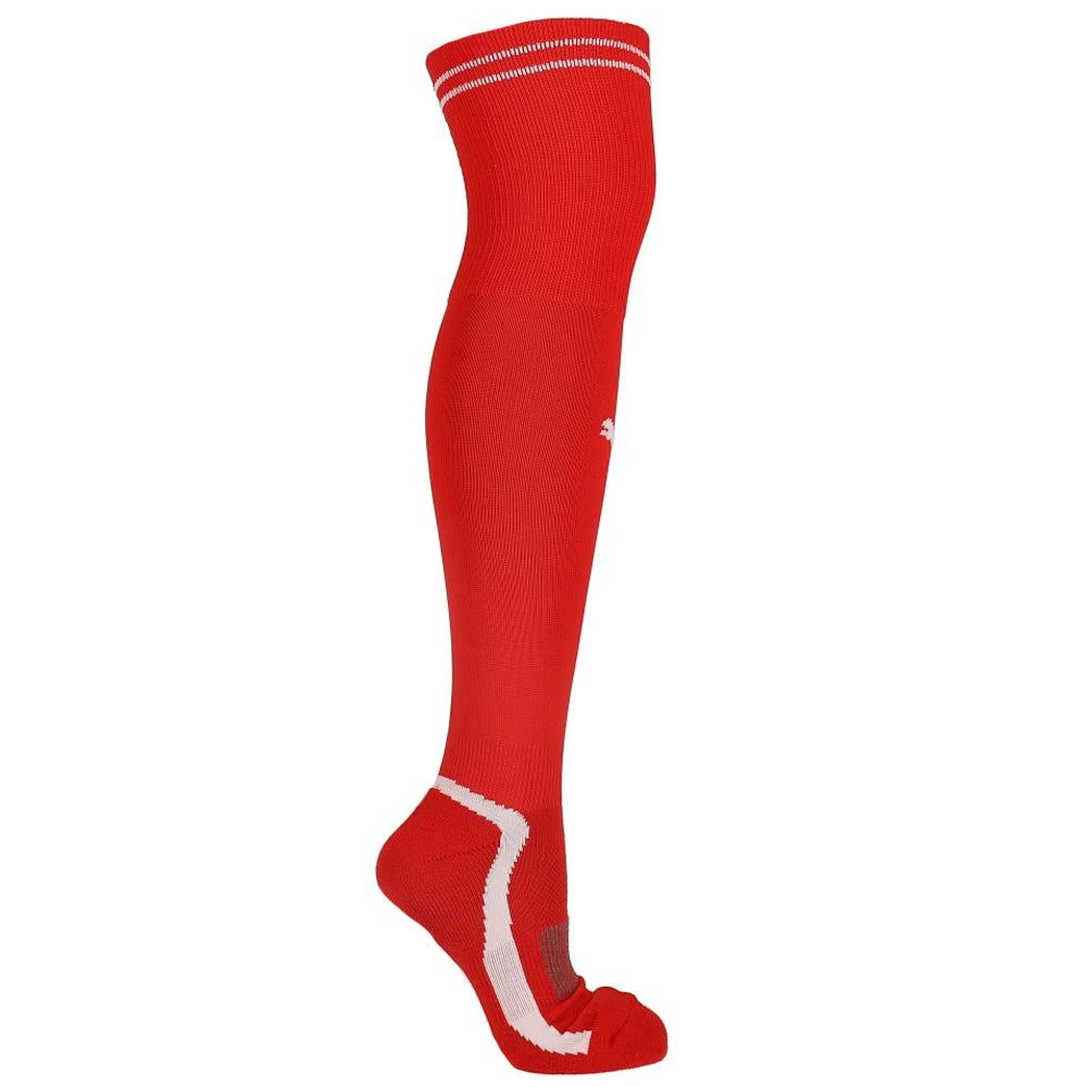 商品Puma|V Elite Knee High Soccer Socks (Youth),价格¥53,第1张图片