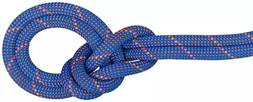 商品Mammut|Mammut 9.0 Crag Sender Dry Rope,价格¥2169,第1张图片