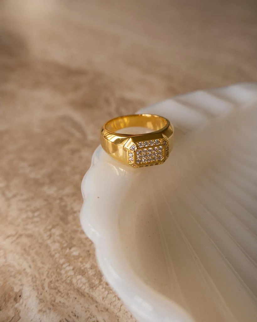 商品Luv AJ|Faceted Diamond Signet Ring- Silver,价格¥562,第5张图片详细描述