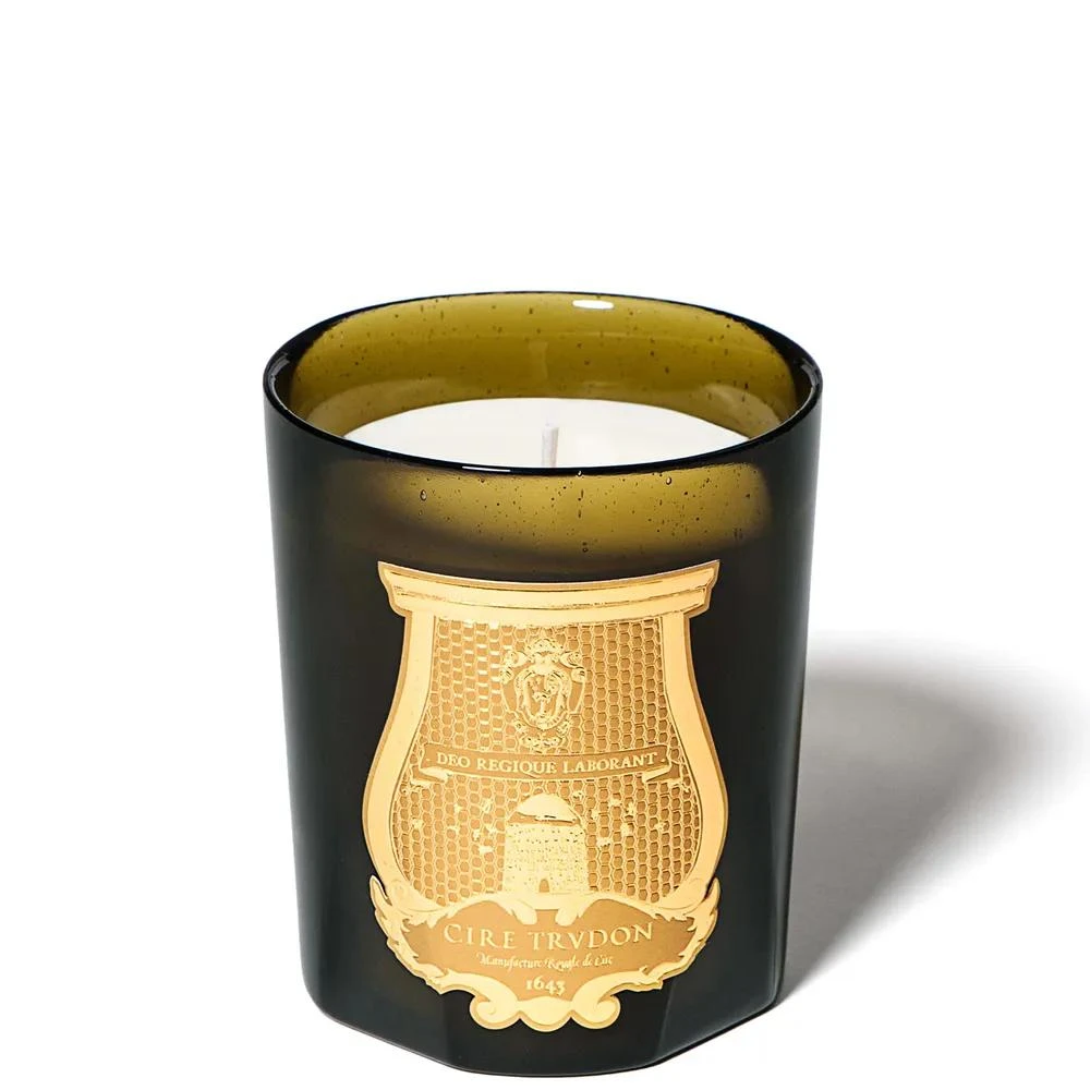 商品Cire Trudon|TRUDON Ernesto Classic Candle,价格¥907,第1张图片