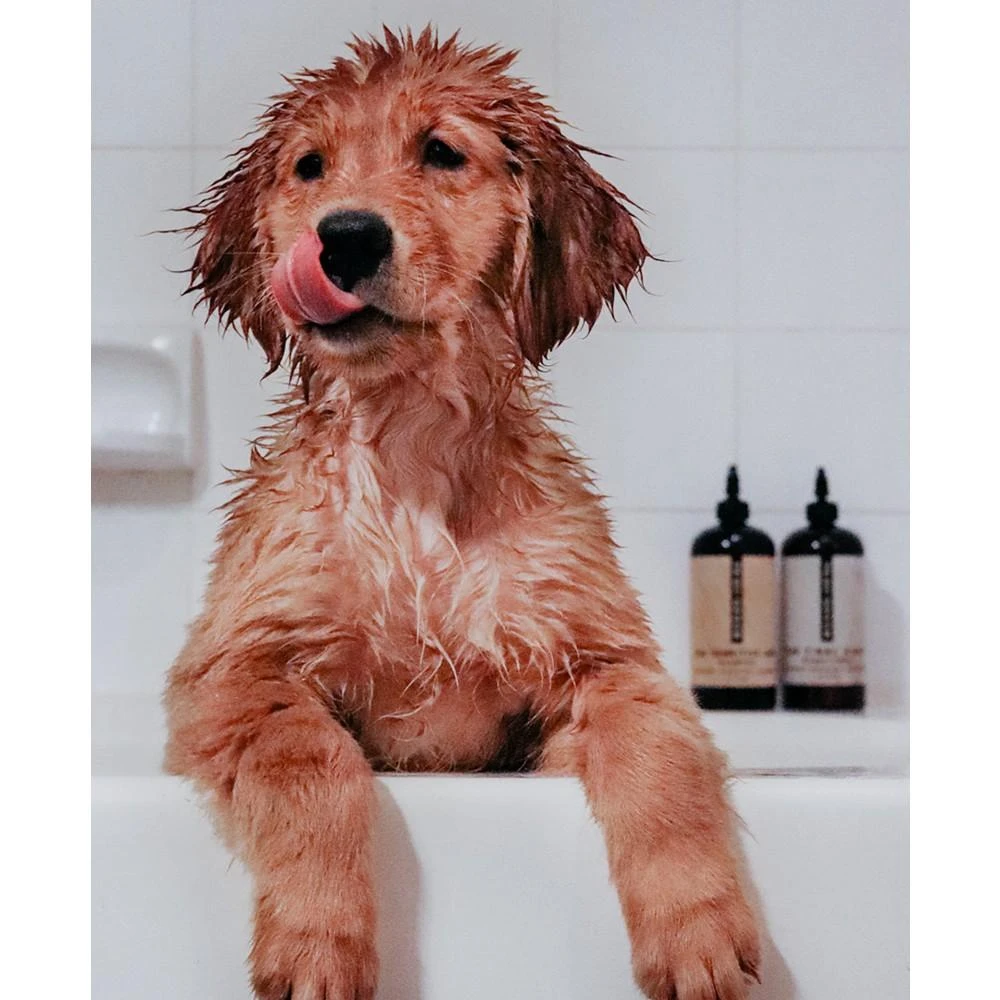 商品Pride+Groom|"The Sensitive One" Pet Shampoo, 16-oz.,价格¥239,第4张图片详细描述