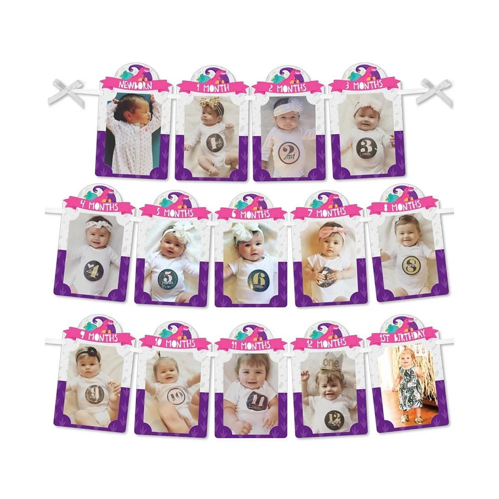 商品Big Dot of Happiness|1st Birthday Roar Dinosaur Girl - DIY 1-12 Monthly Picture Display Photo Banner,价格¥119,第1张图片