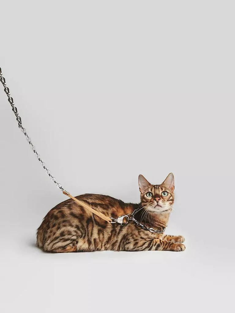商品Pagerie|The Ox Leather & Chain Dog Leash,价格¥2848,第2张图片详细描述