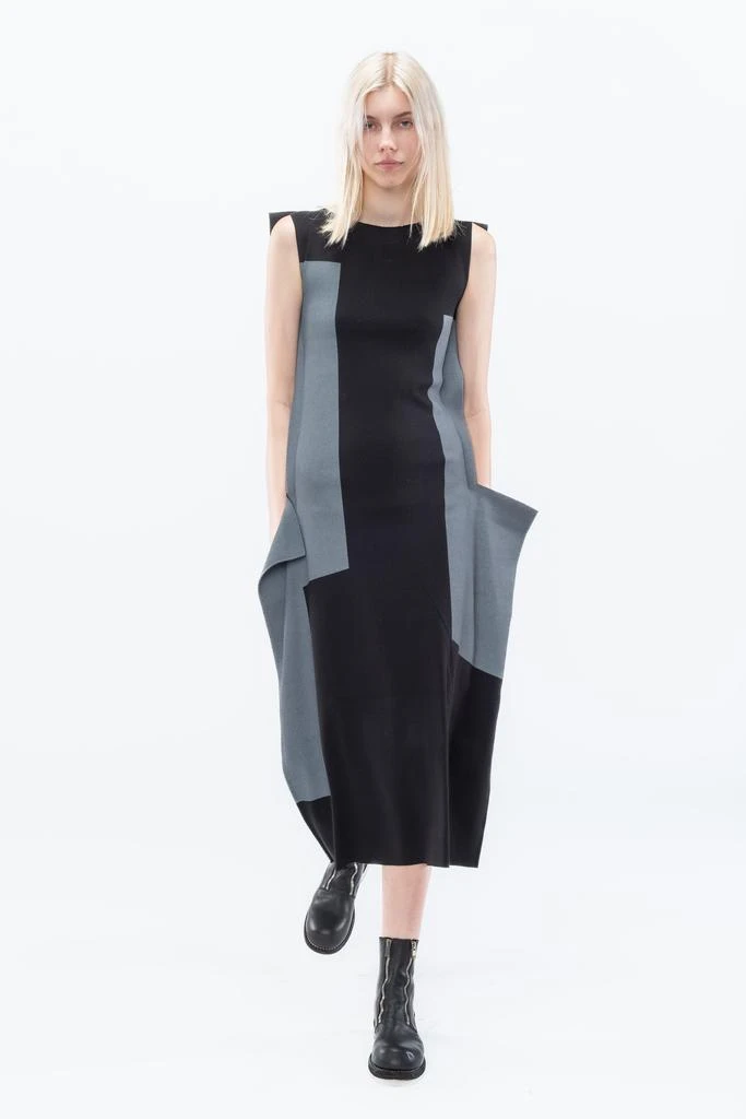 Issey Miyake Rectilinear AP Dress 商品