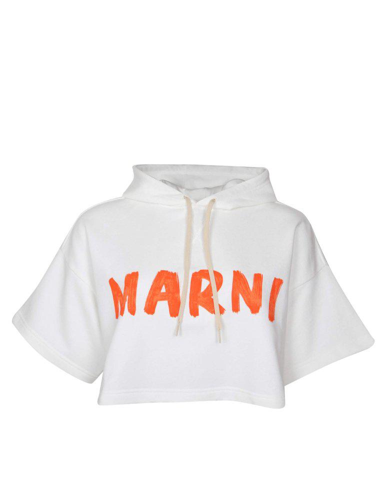 Marni Logo Printed Drawstring Cropped Hoodie商品第1张图片规格展示