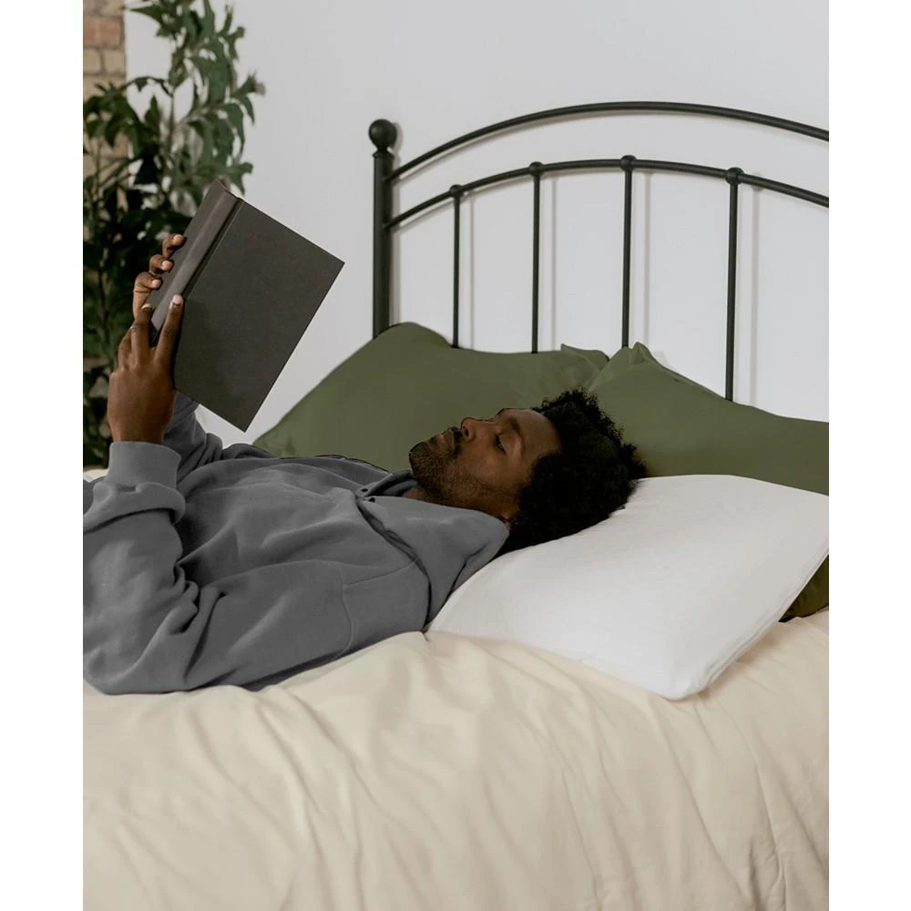 Natural Foam Latex Pillow, Pack of 2 商品