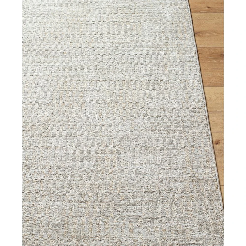 商品Surya|Masterpiece High-Low MPC-2304 2'8" x 3'11" Area Rug,价格¥971,第2张图片详细描述