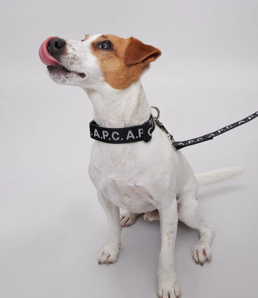 商品Toutou|Toutou Logo leash,价格¥1417,第4张图片详细描述