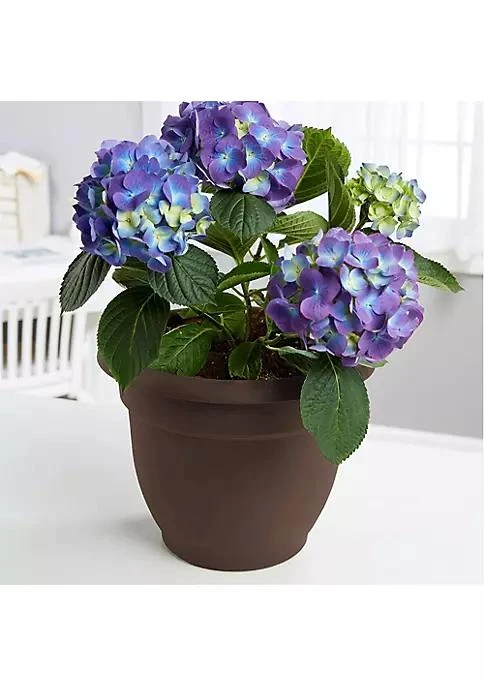 商品Fiskars|Fiskars Ariana Planter Flower Pot With Self Watering Grid Chocolate 8,价格¥87,第3张图片详细描述