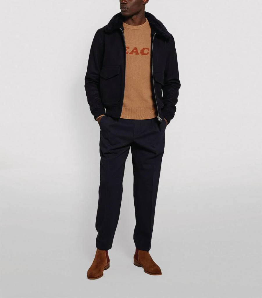 商品Sandro|Shearling Collar Aviator Jacket,价格¥6320,第2张图片详细描述