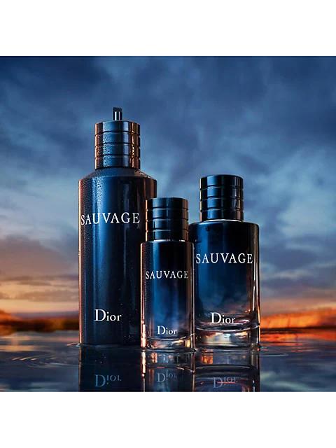 Dior Sauvage Parfum商品第4张图片规格展示