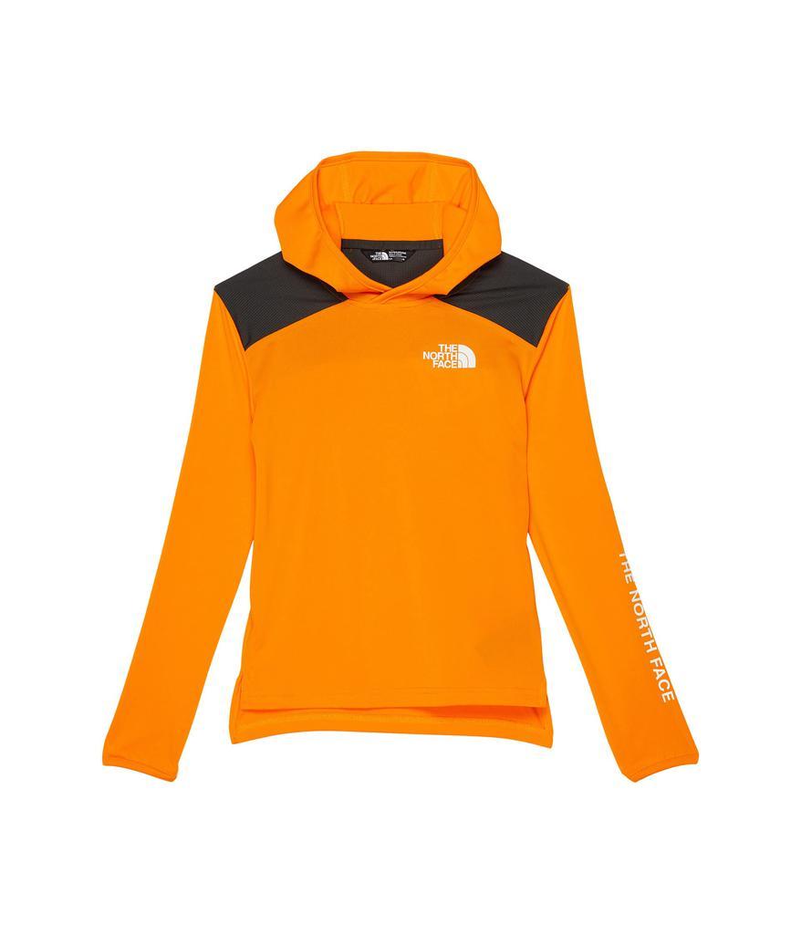 商品The North Face|Long Sleeve Never Stop Hoodie (Little Kids/Big Kids),价格¥251,第1张图片