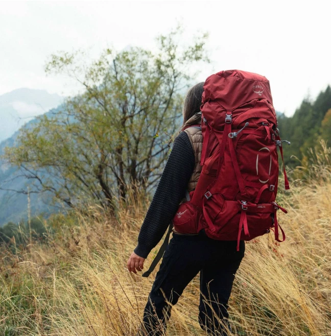 Ariel 精灵 55L/65L 户外专业登山旅行徒步探索双肩包大容量多功能女（香港仓发货） 商品