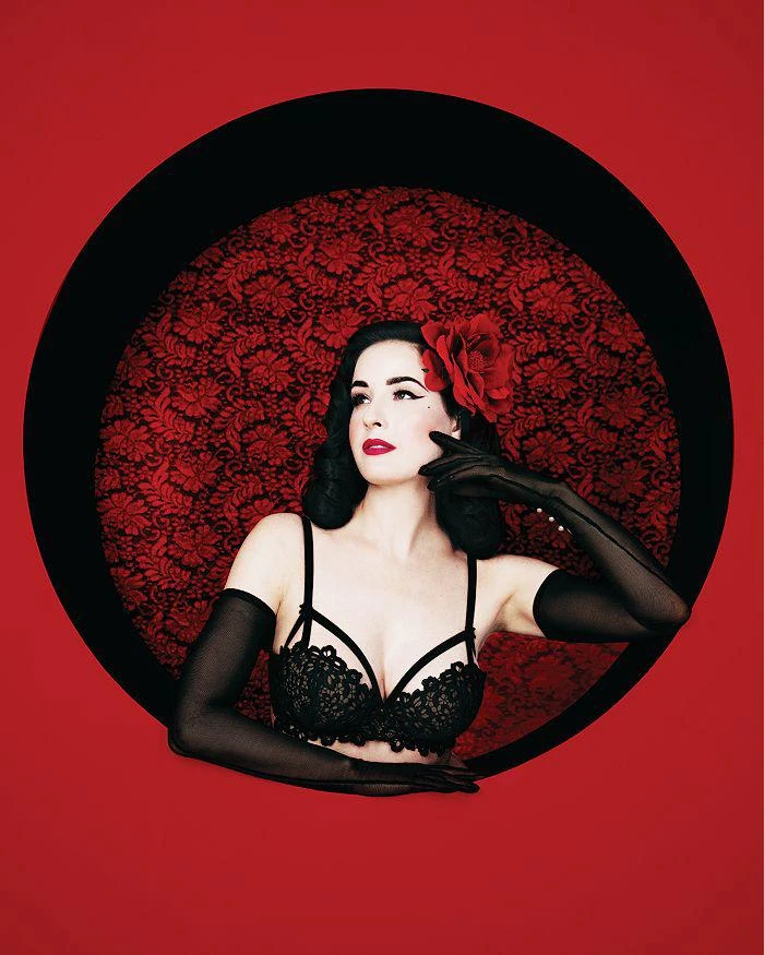 商品Dita Von Teese|大丽花胸衣,价格¥636,第3张图片详细描述