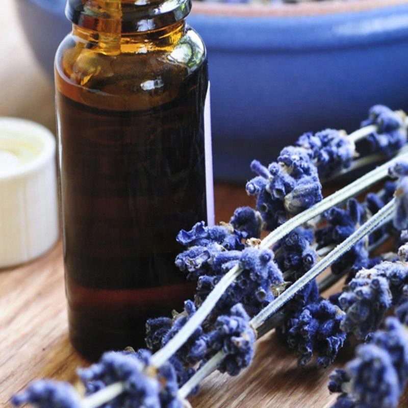 商品Source Vital Apothecary|Lavender Essential Oil 0.4 FL. OZ.,价格¥114,第2张图片详细描述