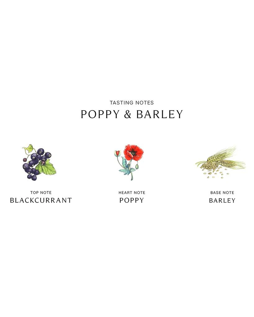 商品Jo Malone London|Poppy & Barley Cologne,价格¥665,第3张图片详细描述