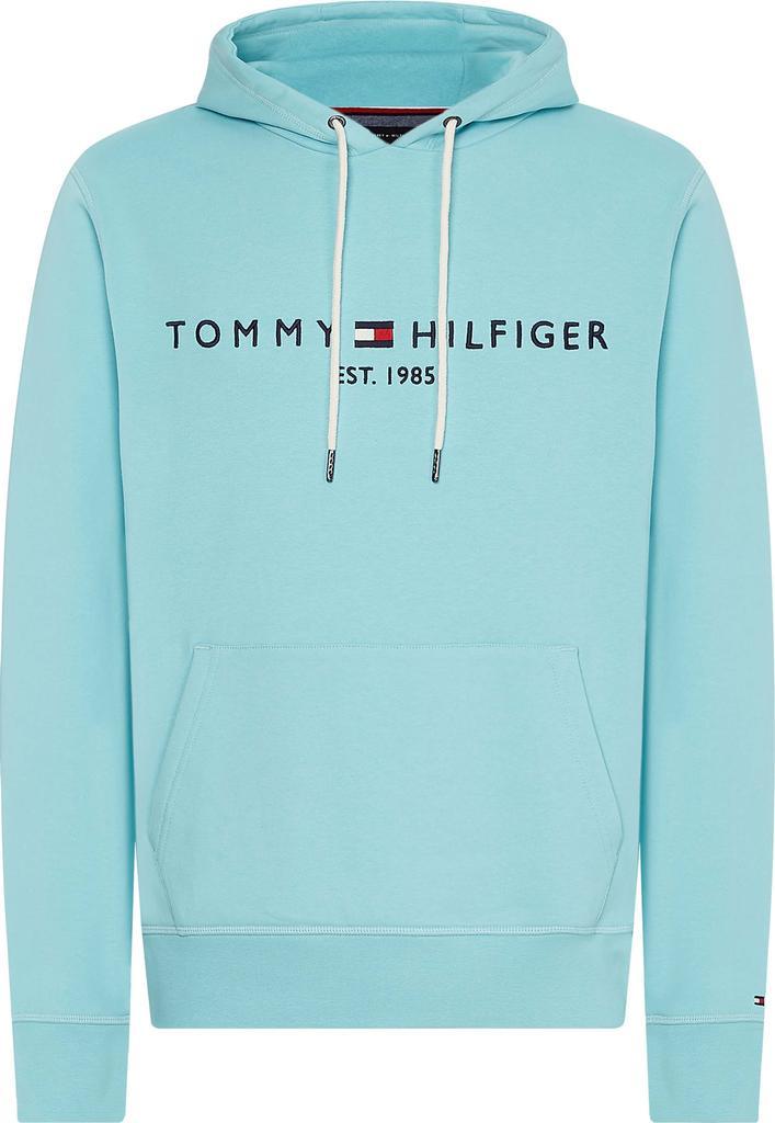 商品Tommy Hilfiger|Tommy Hilfiger Flex Fleece hoodie aqua mw0mw11599 csr,价格¥1022,第1张图片