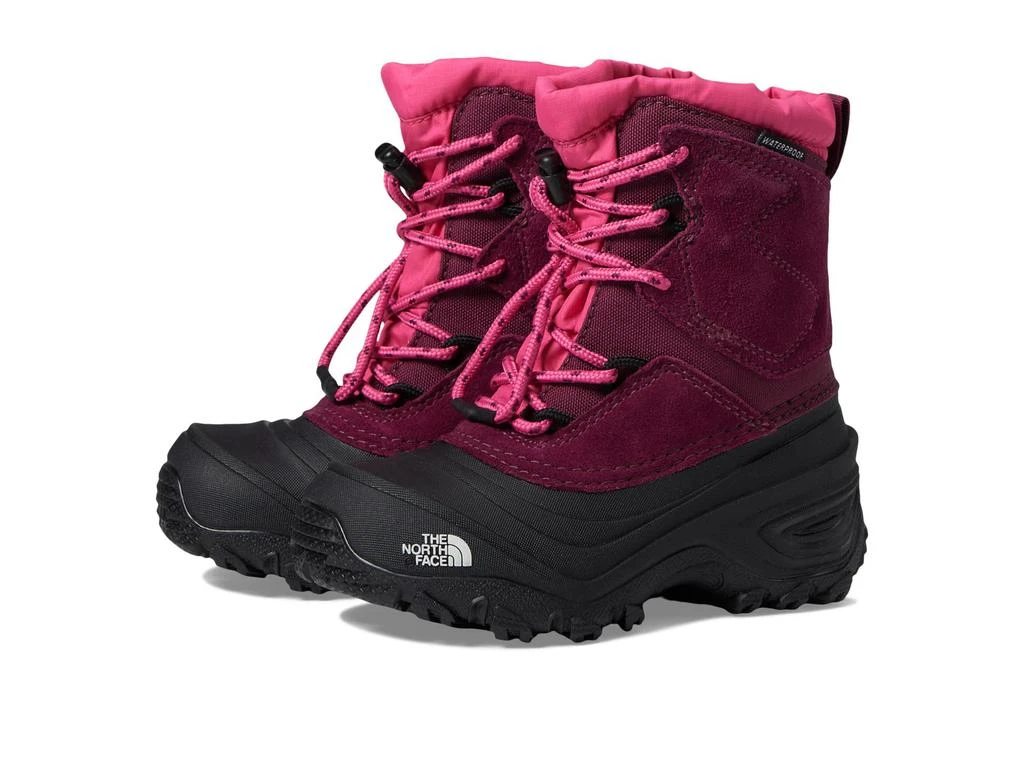 商品The North Face|Alpenglow V Waterproof (Toddler/Little Kid/Big Kid),价格¥373,第1张图片