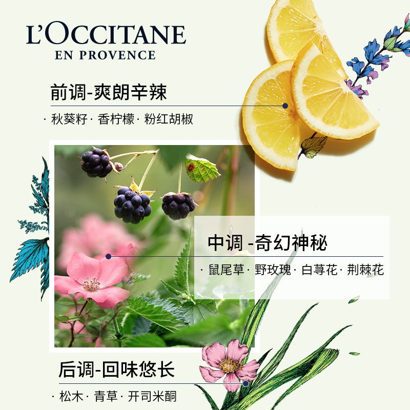 L'occitane欧舒丹绿野奇境草本植物美肤乳250ml 滋润身体乳商品第3张图片规格展示