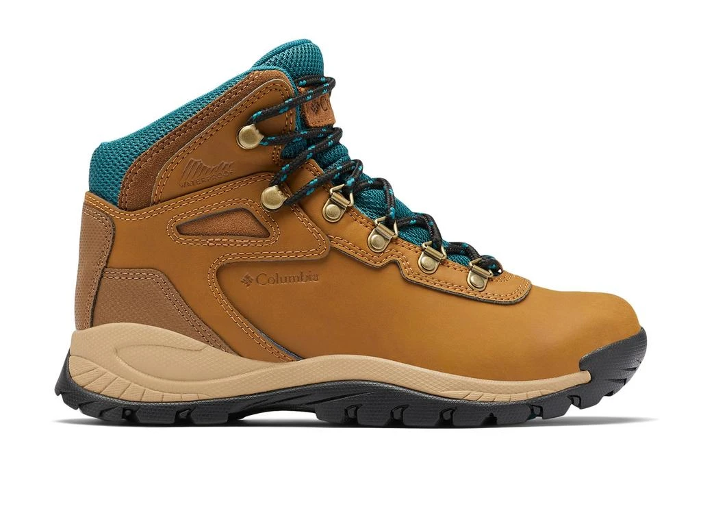 Newton Ridge Plus 商品