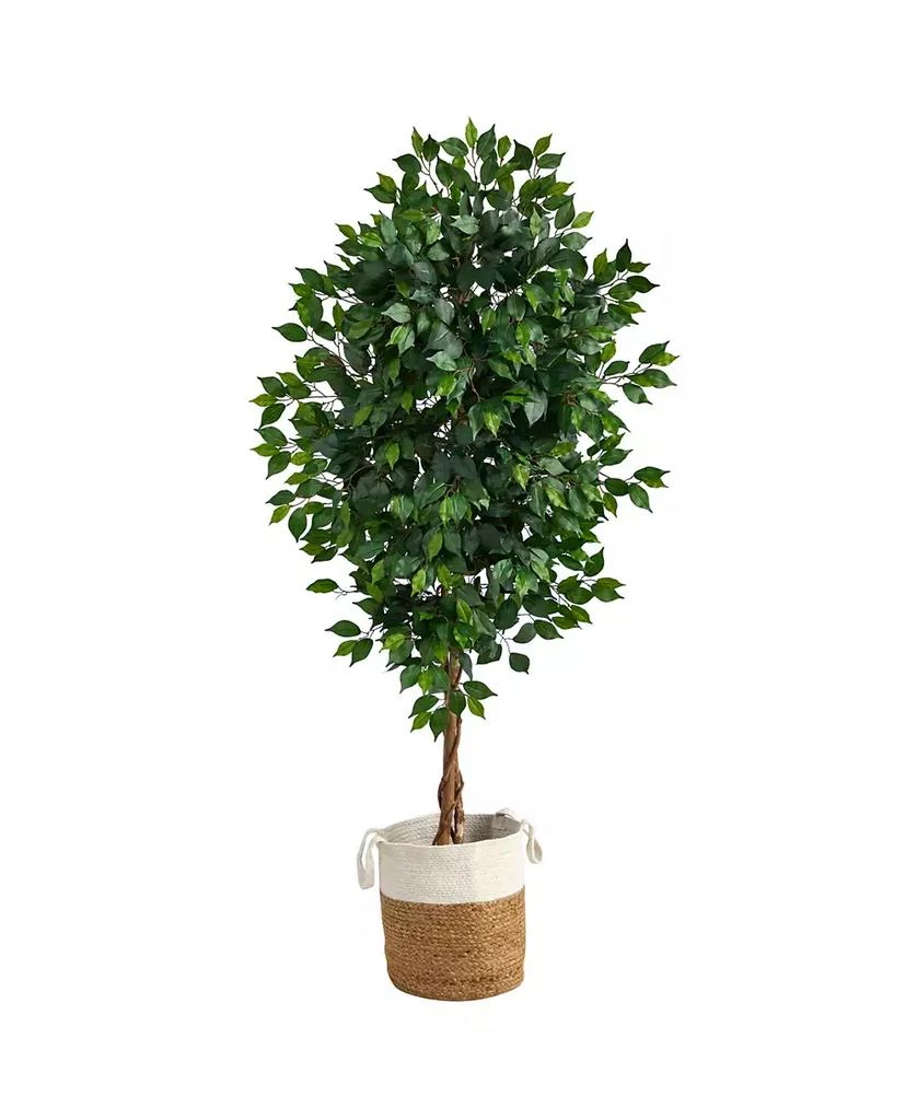 商品NEARLY NATURAL|6' Ficus Artificial Tree with Natural Trunk in Planter,价格¥900,第1张图片