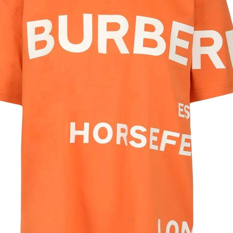 商品[国内直发] Burberry|博柏利  SS22 Logo印花拼色圆领短袖 T恤 女款 橙色,价格¥1719,第8张图片详细描述