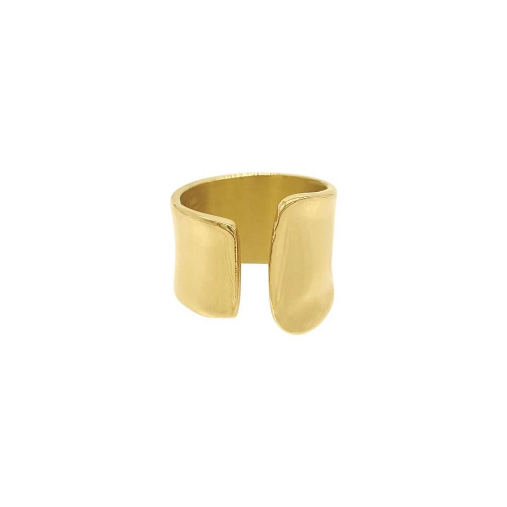 商品ADORNIA|14K Gold Plated Tall Open Band Ring,价格¥257,第3张图片详细描述