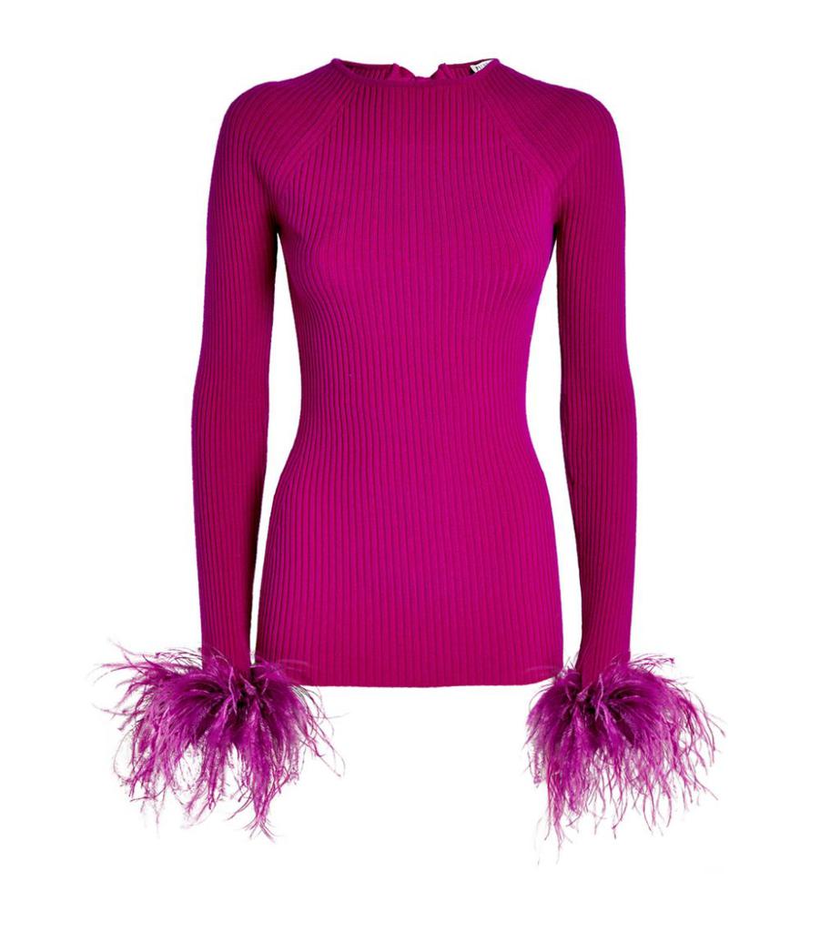 Wool Feather-Trimmed Sweater商品第1张图片规格展示