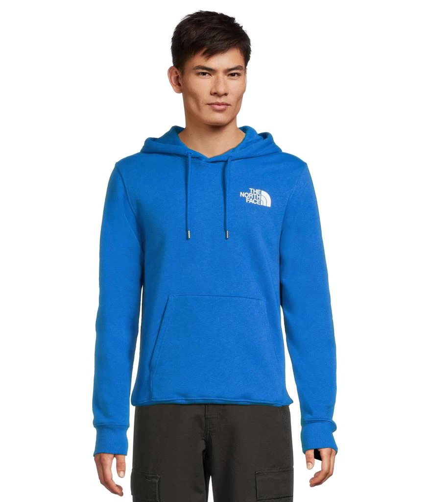 商品The North Face|Box NSE Pullover Hoodie,价格¥328,第1张图片