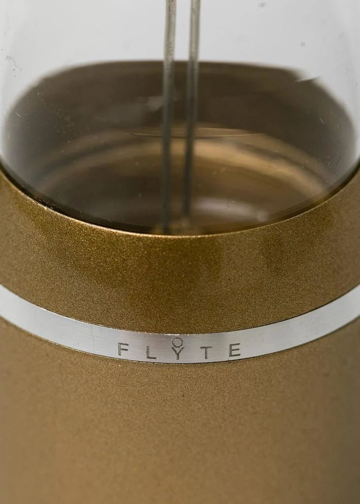 商品FLYTE|Flyte Gold Flyte Edison Single Bulb,价格¥567,第3张图片详细描述
