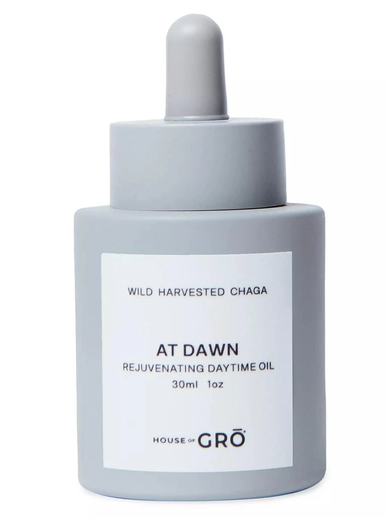 商品House of GRO|AT DAWN Rejuvenating Daytime Oil,价格¥1200,第1张图片