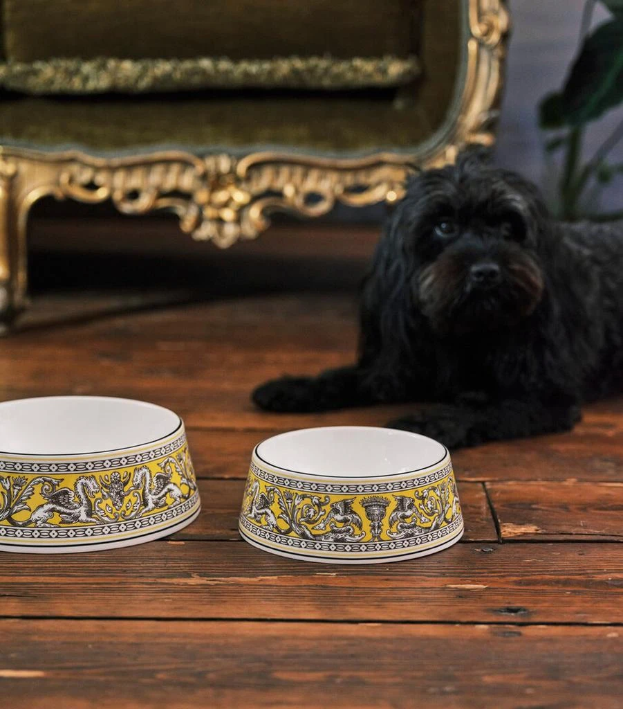 商品Wedgwood|Bone China Florentine Pet Bowl (21cm),价格¥1532,第2张图片详细描述