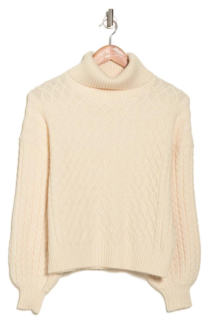 Cable Stitch Turtleneck Sweater商品第3张图片规格展示