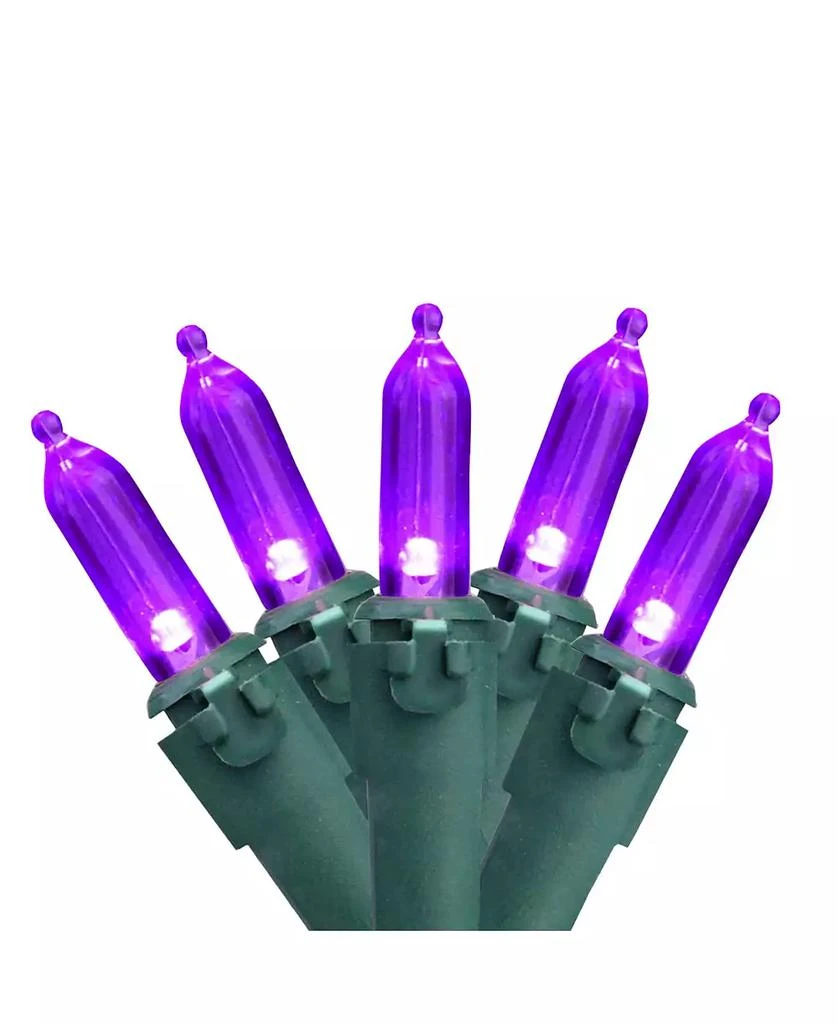 商品Northlight|Purple 100-Bulb LED Mini Christmas Lights 33 ft Green Wire,价格¥237,第1张图片