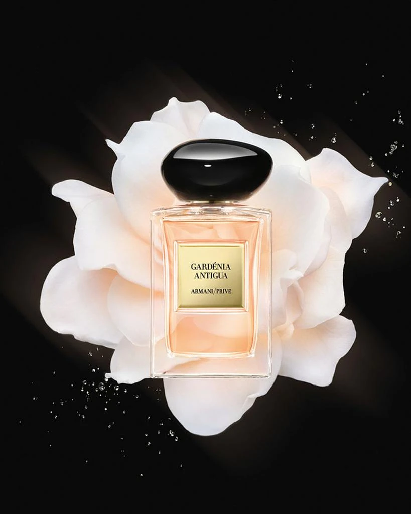 商品Armani|Armani Gardénia Antigua ,价格¥1460,第4张图片详细描述