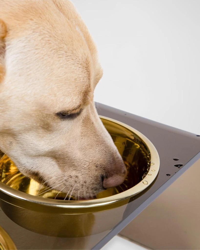 商品HIDDIN|Bronze Single Bowl Pet Feeder, 2 Qt Golden Bowl,价格¥1079,第3张图片详细描述
