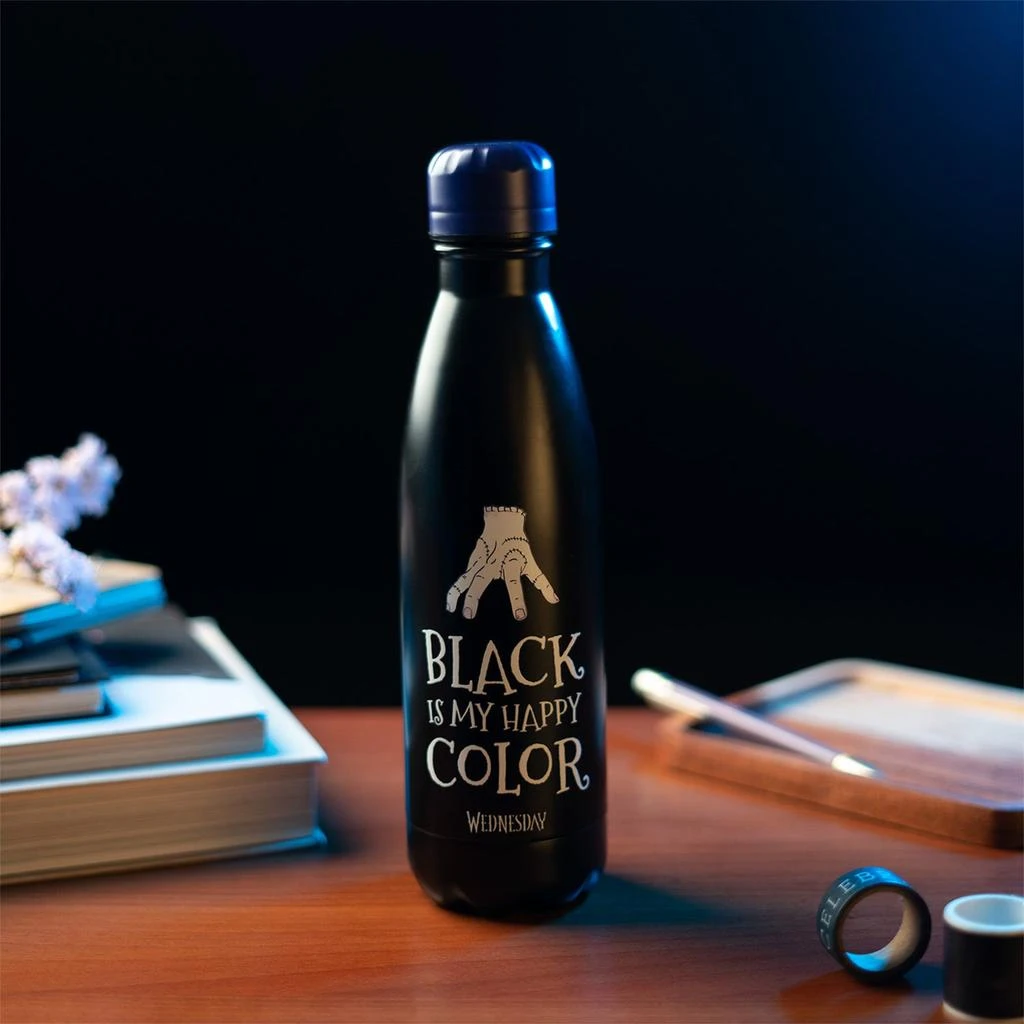 商品ERIK|Wednesday 500Ml Hot&Cold Metal Bottle,价格¥252,第3张图片详细描述