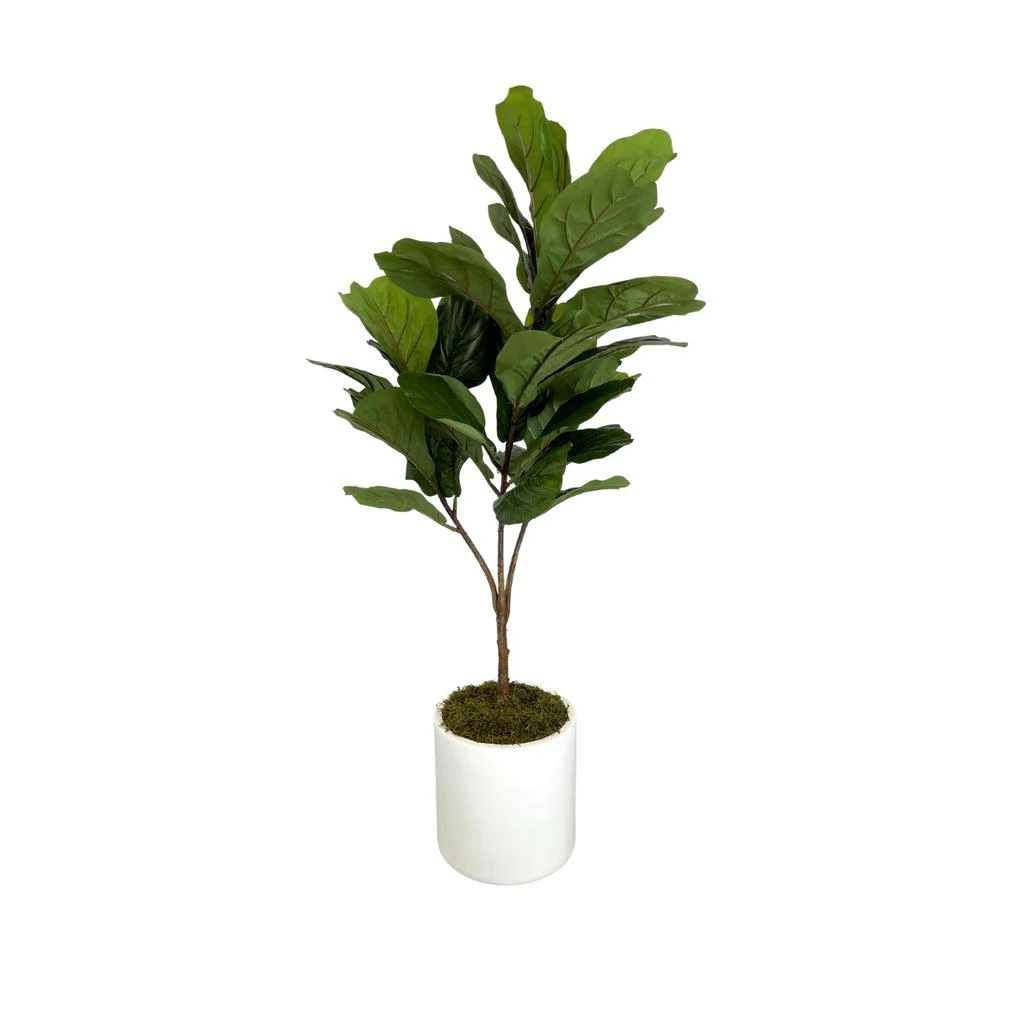 商品Creative Displays|Fiddle Leaf Tree,价格¥1717,第1张图片