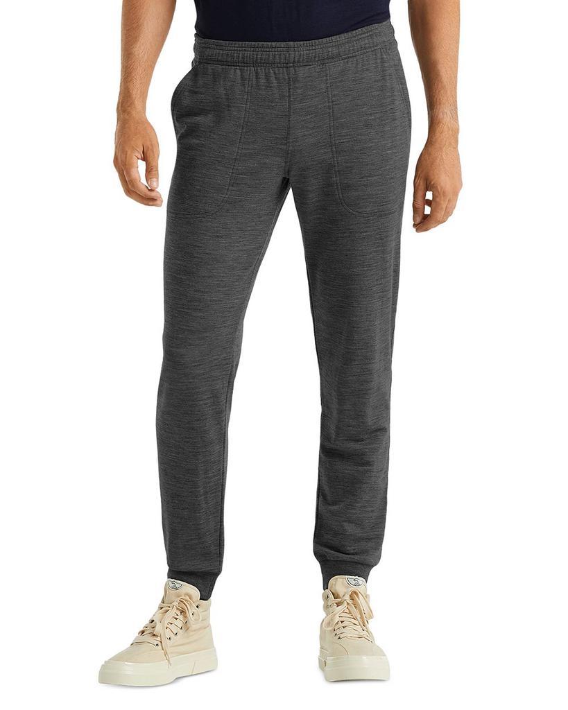 商品Icebreaker|Shifter Regular Fit Jogging Pants,价格¥1125,第1张图片