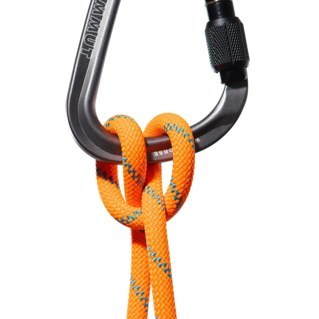 商品Mammut|8.7 Alpine Sender Dry Rope,价格¥2294,第2张图片详细描述