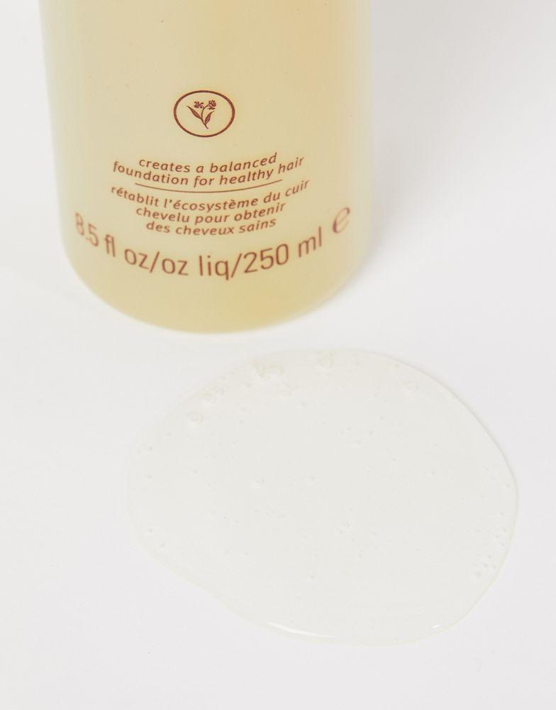 商品Aveda|Aveda Scalp Benefits Shampoo 250ml,价格¥202,第4张图片详细描述